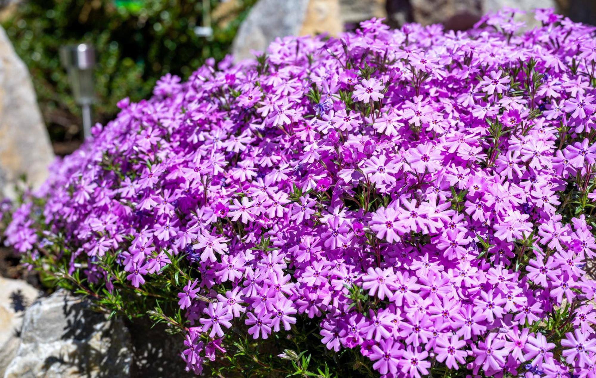 Chata Vanda Štrba エクステリア 写真